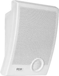 glosnik-scienny-hqm-n10165-10w-100v-bialy