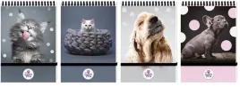 kolonotes-a6-96k-kratka-na-gumke-the-sweet-pets