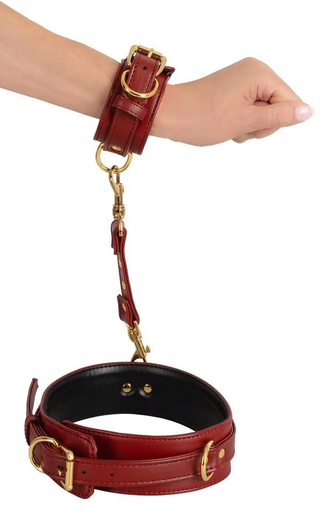bad-kitty-hand-leg-restraints