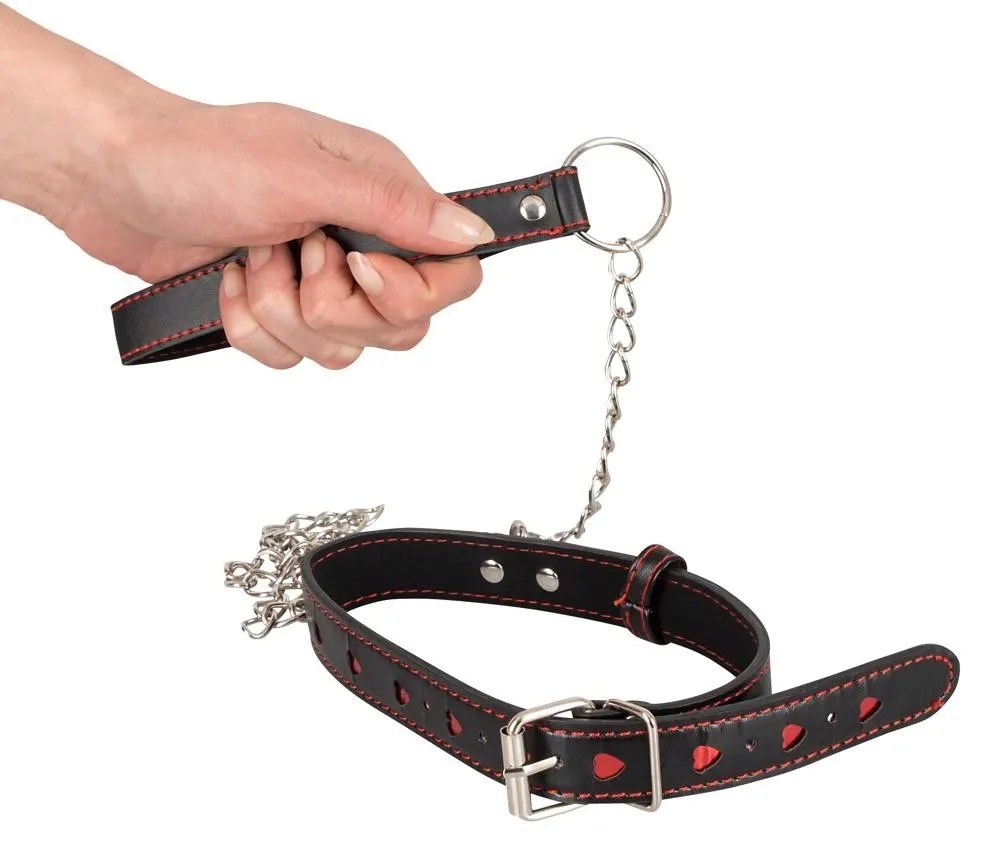 collar-and-leash