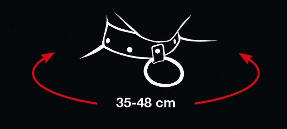 collar-and-leash