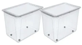 keeeper-pudelko-pojemnik-z-pokrywka-i-kolkami-bert-2-x-63l-transparentny