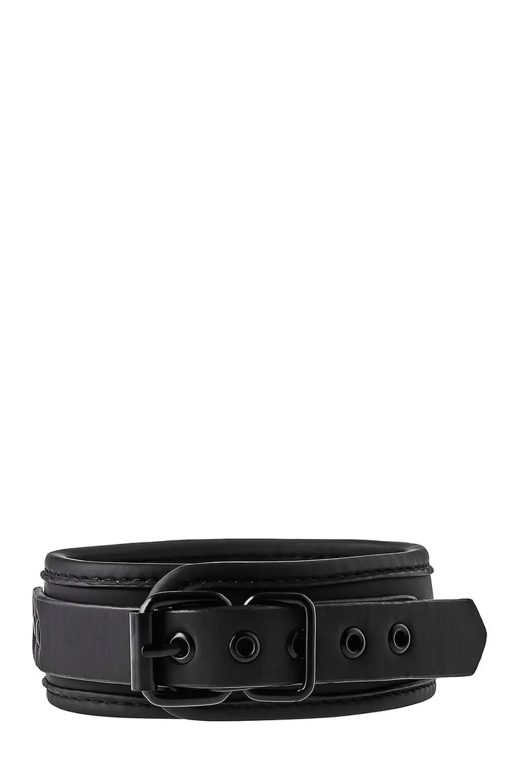 blaze-collar-and-leash-black-waga-z-opakowaniem-1-kg