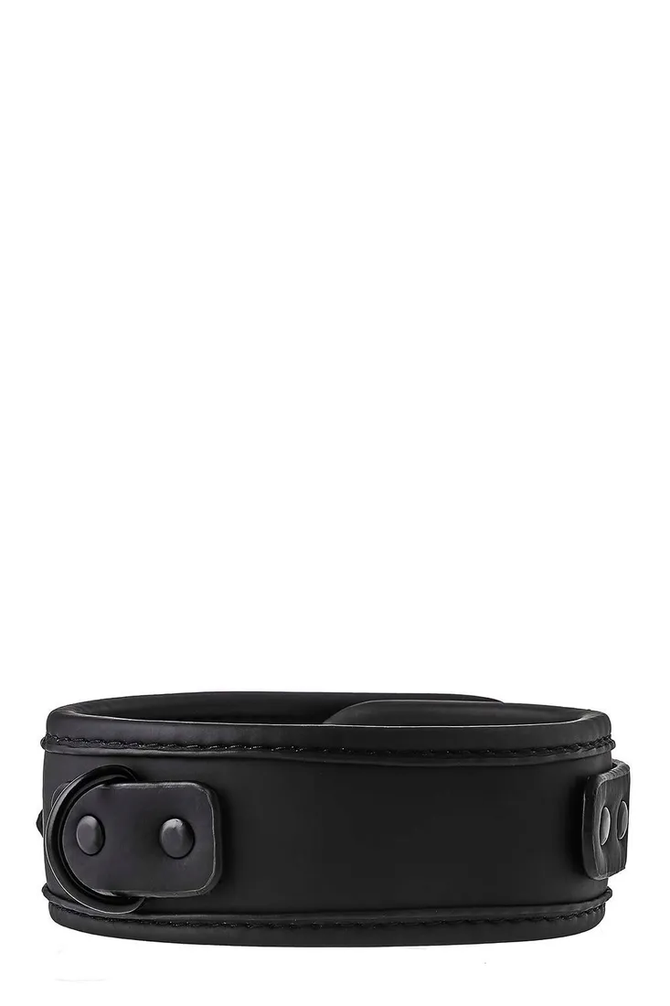 blaze-collar-and-leash-black