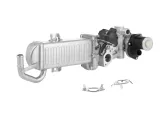 modul-agr-borgwarner-710861d-1-stan-nowy