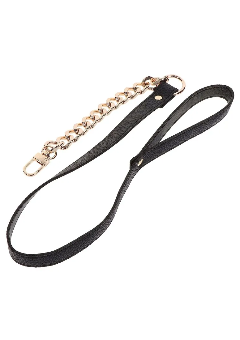 statement-collar-and-leash