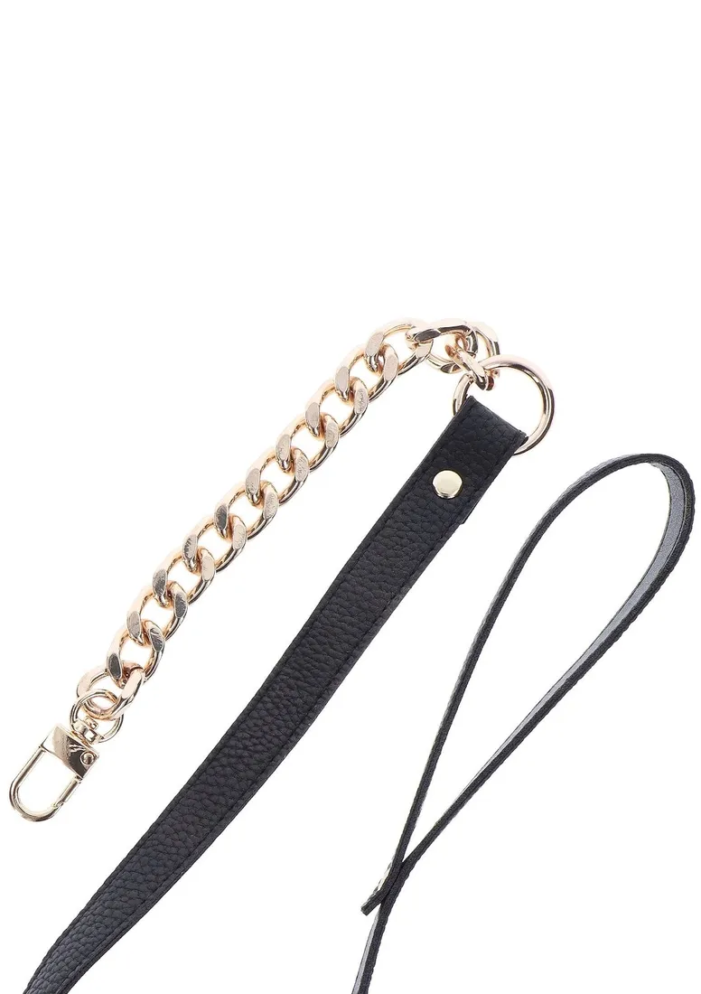statement-collar-and-leash