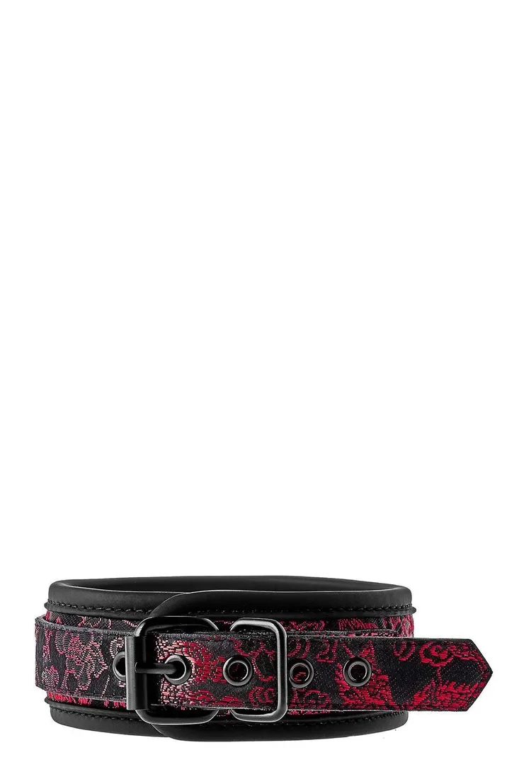 blaze-deluxe-collar-and-leash-waga-z-opakowaniem-0-15-kg