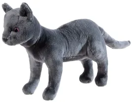 zabawka-karajan-schule-der-magischen-tiere-kot-grs-pet-edukacyjna