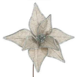 kwiat-swiateczny-gwiazda-betlejemska-40x35-bezowa-komplet-12-szt