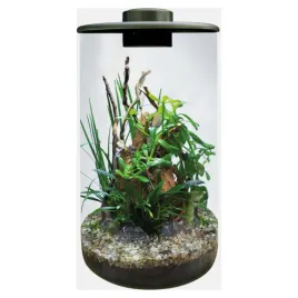 bio-art-las-w-sloiku-premium-z-oswietleniem-led-wspomagajacym-wzrost-roslin