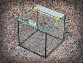 terrarium-25x25x25-dla-ptasznikow-skorpionow
