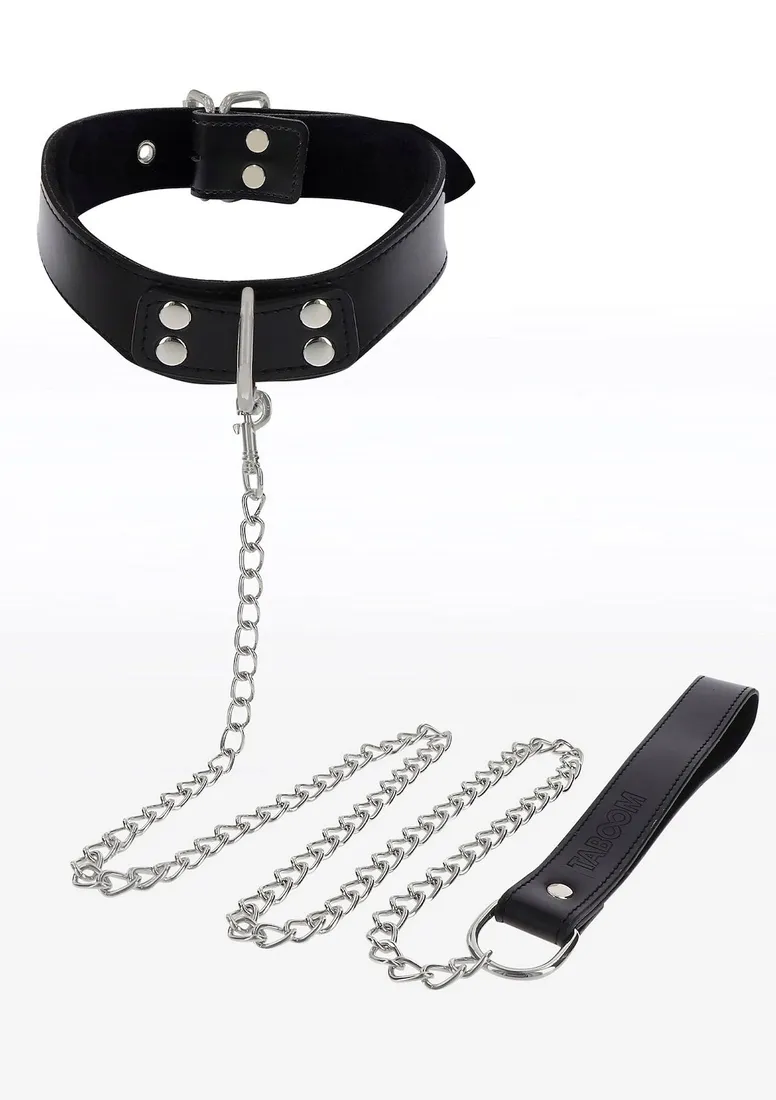elegant-collar-and-chain-leash