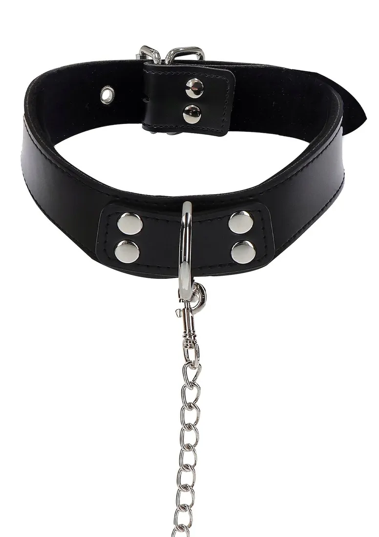 elegant-collar-and-chain-leash