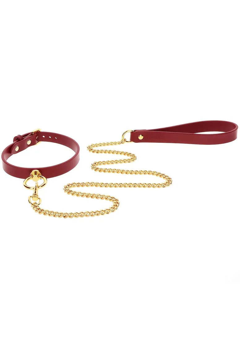 o-ring-collar-and-chain-leash