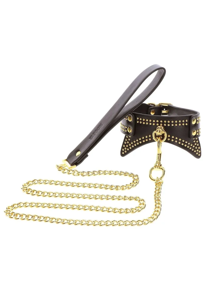 studded-collar-and-leash
