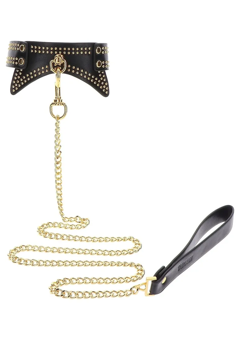 studded-collar-and-leash