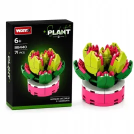 zestaw-klockow-woma-seria-sukulent-plant-kwiat-eonium-ozdobne-variegata