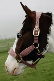 kantar-dla-konia-kentucky-velvet-miekki-welurowy-elegancki-old-rose-cob
