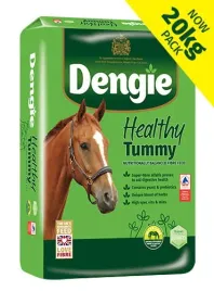 sieczka-dla-koni-dengie-healthy-tummy-na-uklad-pokarmowy-wrzody-20kg
