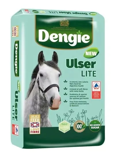 Sieczka dla koni wrzodowych DENGIE UlserLite wrzody 20kg