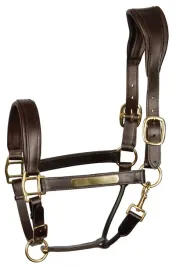 kantar-dla-konia-harry-s-horse-anatomic-skorzany-brazowy-cob