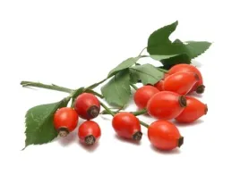 dzika-roza-equiherbs-caly-owoc-suszony-doypack-1000g