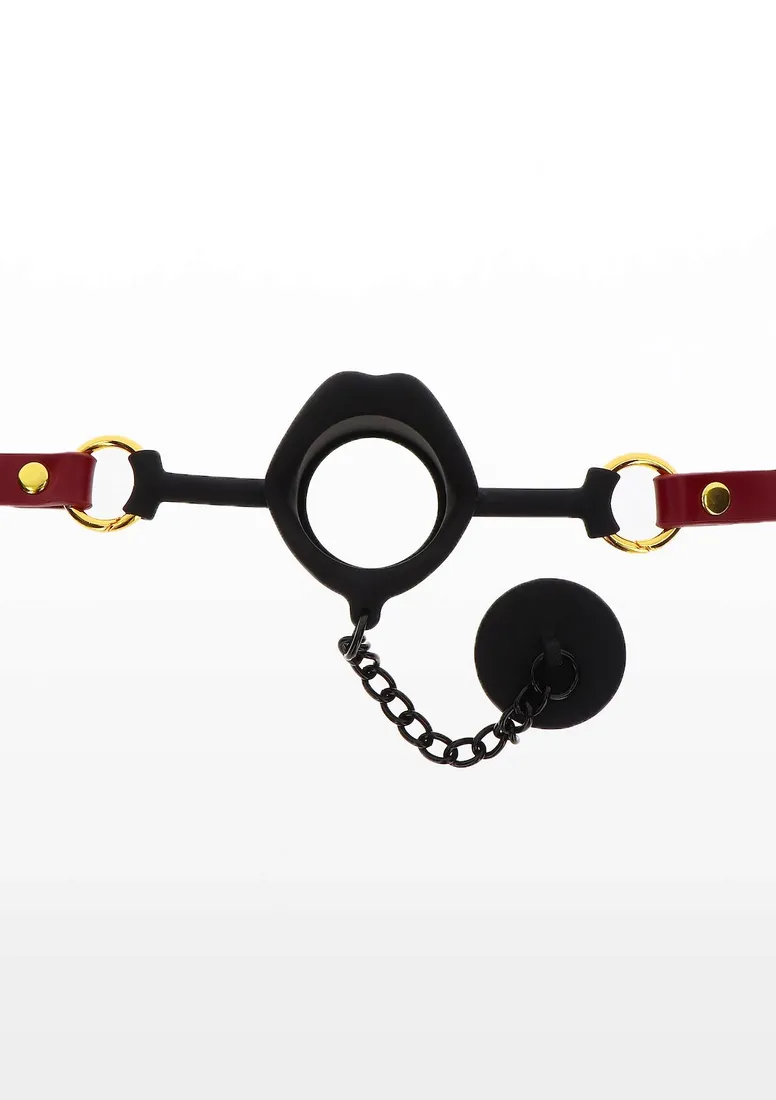 kinky-gag-with-plug
