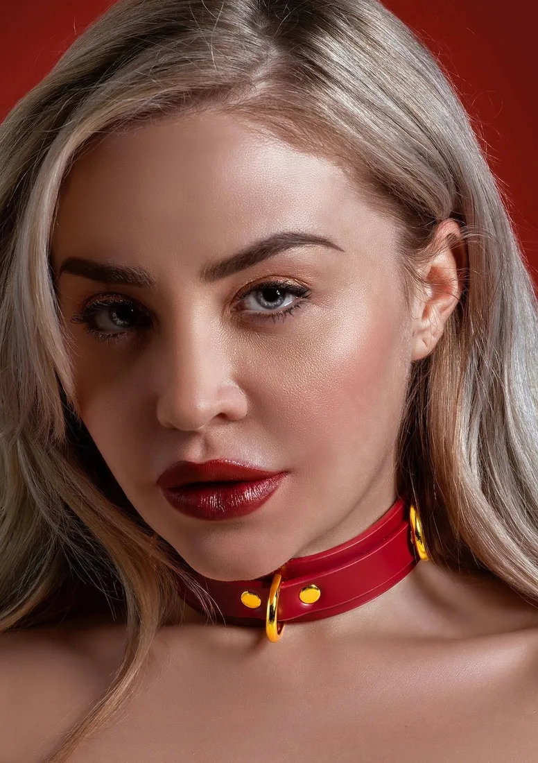 d-ring-collar-deluxe
