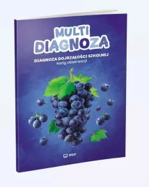 multidiagnoza-diagnoza-dojrzalosci-szkolnej-ko