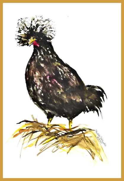 kura-czubatka-akwarela-oryginalna