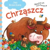 chrzaszcz
