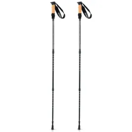 kijki-do-nordic-walking-kije-trekkingowe-do-chodzenia-regulowane-2szt