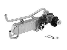 borgwarner-710863d-1-modul-agr