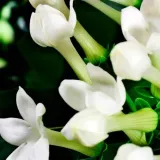 yodeyma-boreal-100-ml-perfumy-przecena-pojemnosc-opakowania-100-ml