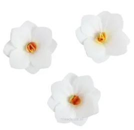 rose-decor-kwiaty-waflowe-hortensja-biala-18-szt
