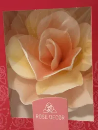 rosedecor-roza-waflowa-pastella-lososiowo-rozowa