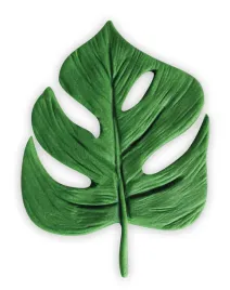 dekor-pol-lisc-monstery-duzy-10-cm-zielony