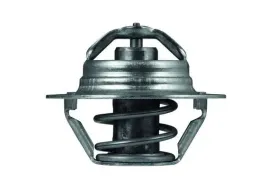 mahle-tx-100-89d-termostat-plyn-chlodzacy