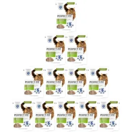 perfect-fit-senior-7-indyk-marchewka-w-sosie-12x-85g