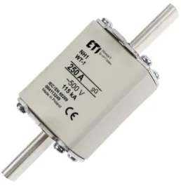 wkladka-topikowa-nh-zwloczna-nh1-wt-1-gg-250a-500v-004113249