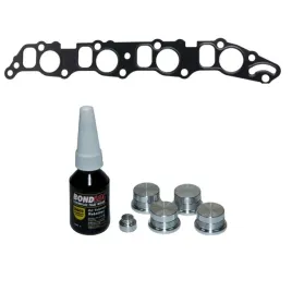 18-5-mm-zaslepki-kolektora-ssacego-dla-opel-fiat-alfa-romeo-saab-1-9-jtd