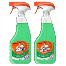 2x0-5l-plyn-do-czyszczenia-szyb-luster-i-powierzchni-szklanych-mr-muscle
