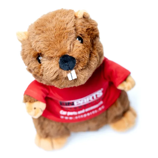 epbeaver01-bobr-einparts