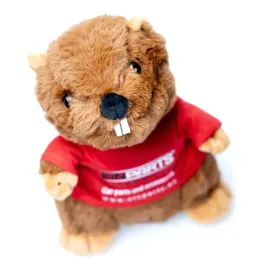 epbeaver01-bobr-einparts