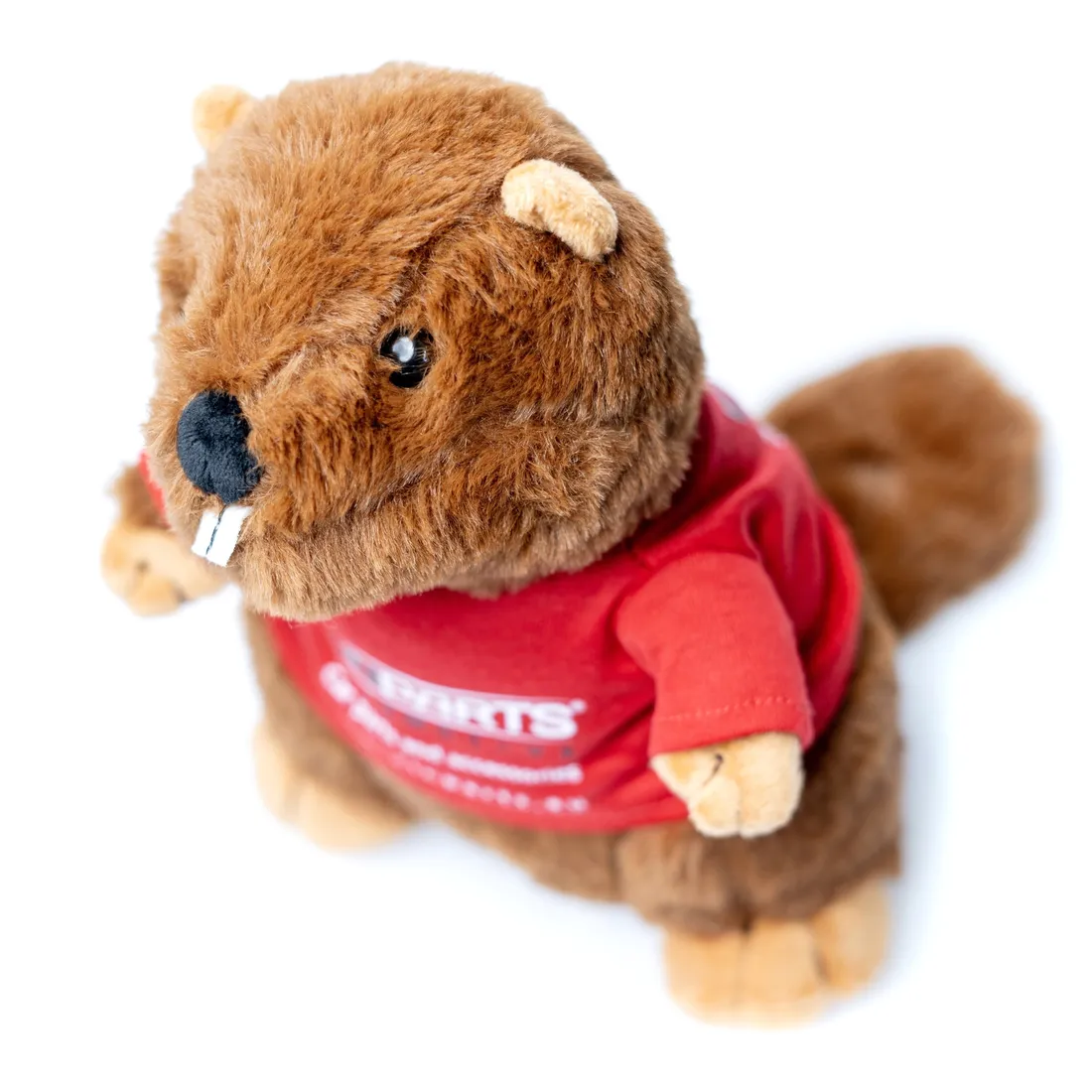 epbeaver01-bobr-einparts