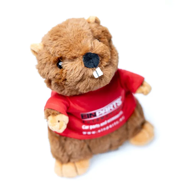 epbeaver01-bobr-einparts-certyfikaty-opinie-atesty-ce-en-71-tuv-we