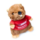 epbeaver01-bobr-einparts-certyfikaty-opinie-atesty-ce-en-71-tuv-we