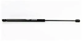 silownik-ep-10010gs