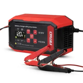 prostownik-cyfrowy-z-wspomaganiem-rozruchu-agm-gel-std-lfp-25a-12v-24v-pro